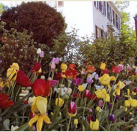 Tuck Inn B&B Rockport Eksteriør billede